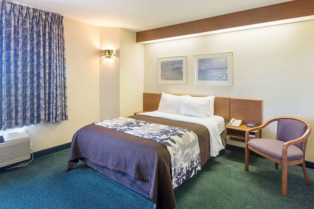 Sleep Inn & Suites Acme - Traverse City Room photo